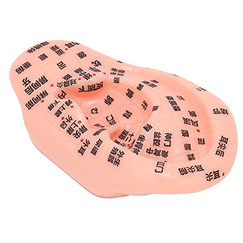 Ear Zone Model, Comfortable Touching Human Ear Acupuncture Model Ear Acupoint...
