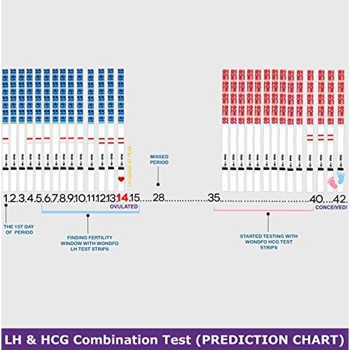 Wondfo 50 Ovulation Test Strips and 20 Pregnancy Test Strips Kit - Rapid Test...