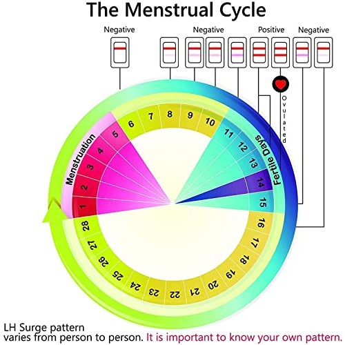Wondfo Ovulation Test Strips Predictor Kit Detecting LH Surge - Highly Sensit...