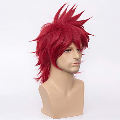 WTHCOS Short Wigs for Men Cosplay Wig Male Wigs Party Wig with Wig Cap (Red)