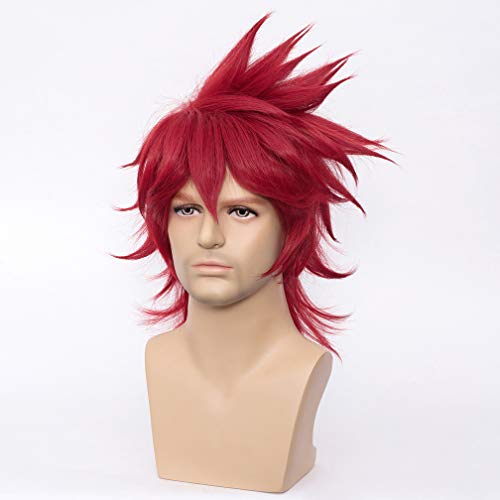 WTHCOS Short Wigs for Men Cosplay Wig Male Wigs Party Wig with Wig Cap (Red)