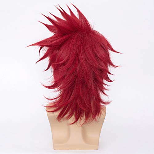 WTHCOS Short Wigs for Men Cosplay Wig Male Wigs Party Wig with Wig Cap (Red)