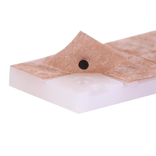 100 Pcs/Box Auricular Application Ear to Ear Ear Model Ear Bean Plant Magneti...