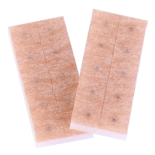 100 Pcs/Box Auricular Application Ear to Ear Ear Model Ear Bean Plant Magneti...