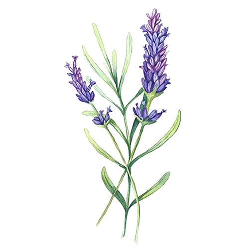 WYUEN 12 Sheets Flower Temporary Tattoo Sticker Women Children Fake Tattoos B...