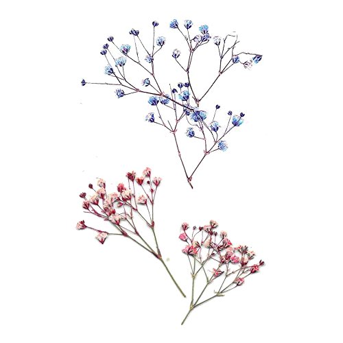 WYUEN 12 Sheets Flower Temporary Tattoo Sticker Women Children Fake Tattoos B...