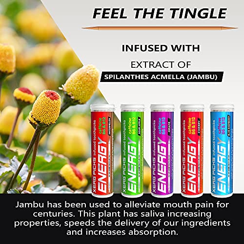 Xero Picks ENERGY Infused Flavored Toothpicks with Caffeine, B12 and B6 (Vari...