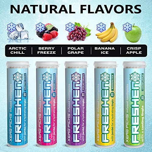 Xero Picks Freshen - Infused Flavored Toothpicks - Cooling Fresh Breath - 100...