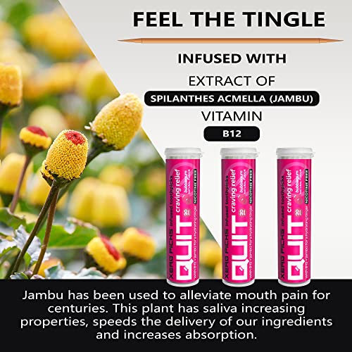 Xero Picks Infused Flavored Toothpicks to help QUIT Smoking - NICOTINE FREE (...