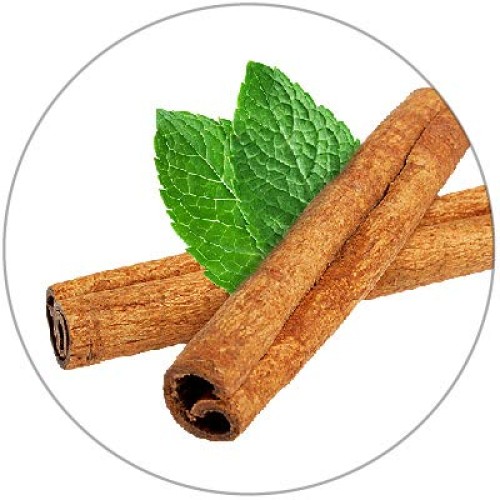 Xero Picks Infused Toothpicks with HEMP Extract- 250mg (10 Picks) (Cinnamint)...