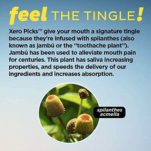 Xero Picks Tea Tree - Infused Flavored Toothpicks For Long Lasting Fresh Brea...