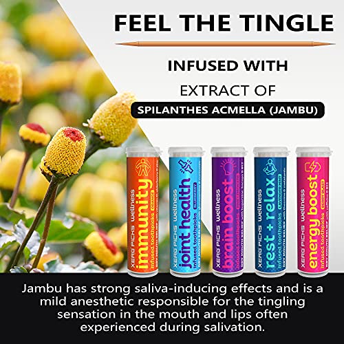 Xero Picks Wellness - Infused Flavored Toothpicks for Long Lasting Fresh Brea...