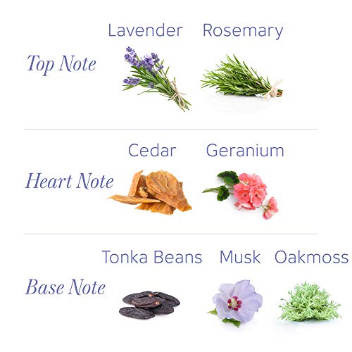 Yardley Yardley London English Lavender Perfumed Deodorizing Talc Talcum Powd...