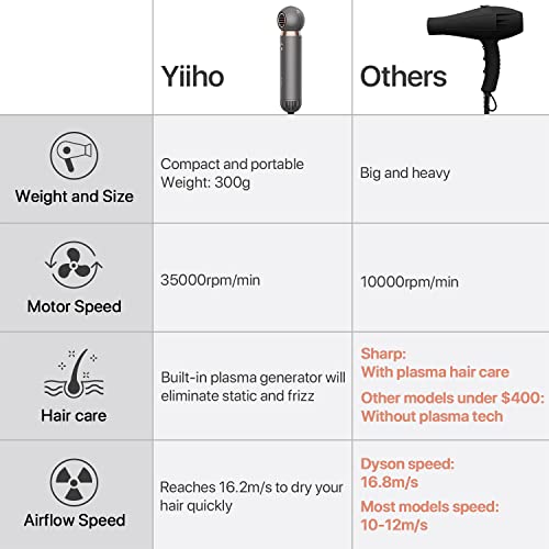 Yiiho Ionic Hair Dryer – Professional Hair Blow Dryer with Dual Ionic Technol...