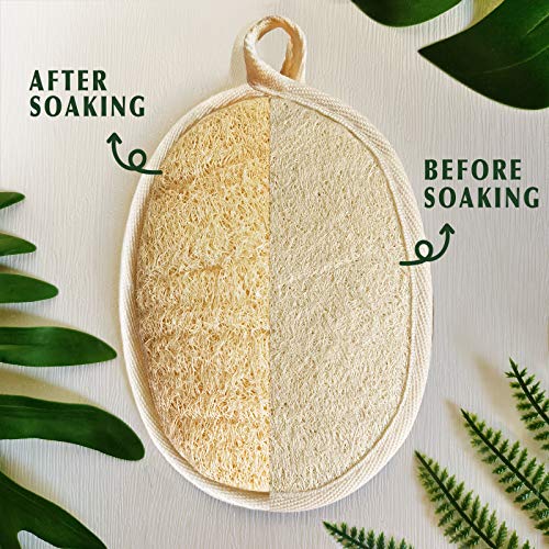 Natural Loofah Sponge Exfoliating Body Scrubber (3 Pack),Made with Eco-Friend...