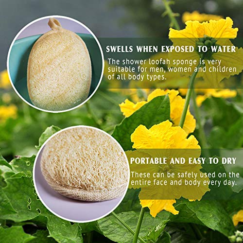 Natural Loofah Sponge Exfoliating Body Scrubber (3 Pack),Made with Eco-Friend...