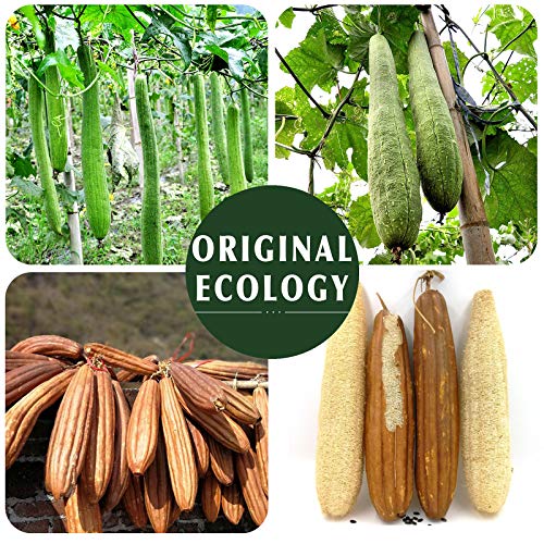 Natural Loofah Sponge Exfoliating Body Scrubber (3 Pack),Made with Eco-Friend...