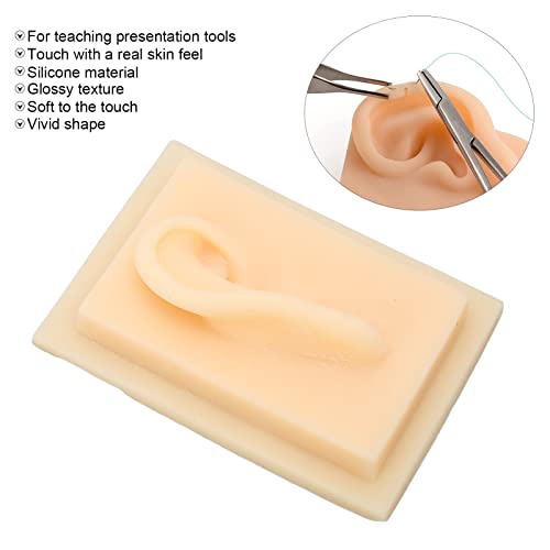 Silicone Ear, Natural Size Human Ear Model Silicone Ear Soft Human Ear Model ...