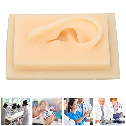 Silicone Ear, Natural Size Human Ear Model Silicone Ear Soft Human Ear Model ...