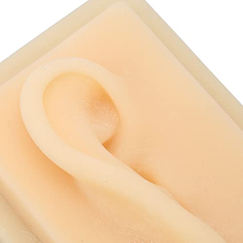 Silicone Ear, Natural Size Human Ear Model Silicone Ear Soft Human Ear Model ...