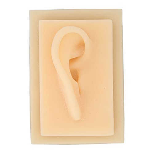Silicone Ear, Natural Size Human Ear Model Silicone Ear Soft Human Ear Model ...