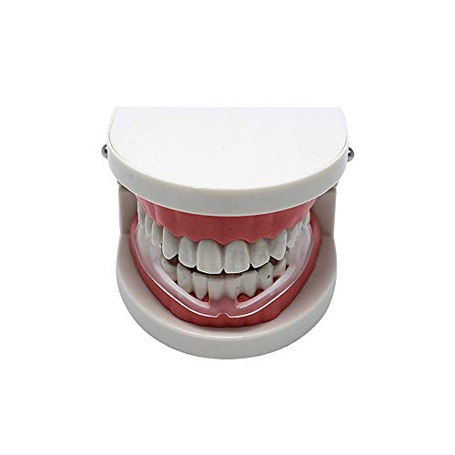 YOUYO No-Boil Dental Guard,Dental Protector,Sleeping Teeth Guard Prevent Nigh...