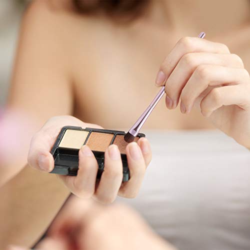 5Pcs Eyeshadow Brush Set, Portable Eye brushes, Premium Eye Makeup Brush, Eye...