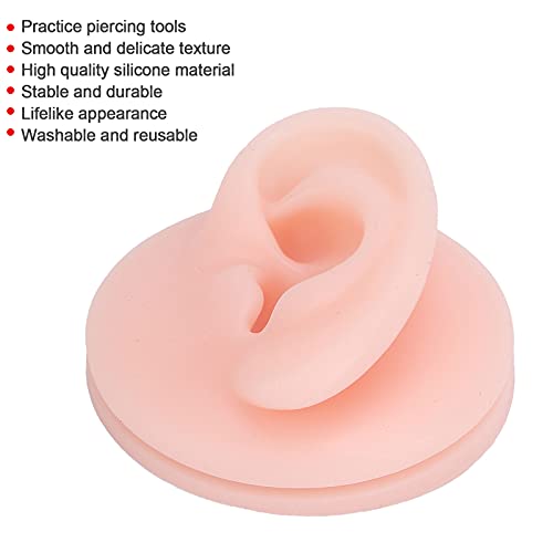 Ear Model, Professional Soft Silicone Ear Model, Fake Ear Display Sample Ear ...