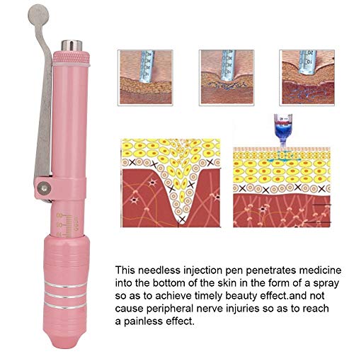 Hyaluron Pen Kit, Hyaluronic Acid Syringe Pen Beauty Atomizer Needle Free Pen...