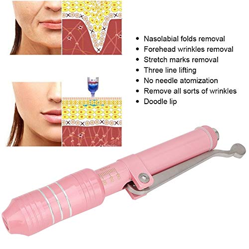 Hyaluron Pen Kit, Hyaluronic Acid Syringe Pen Beauty Atomizer Needle Free Pen...