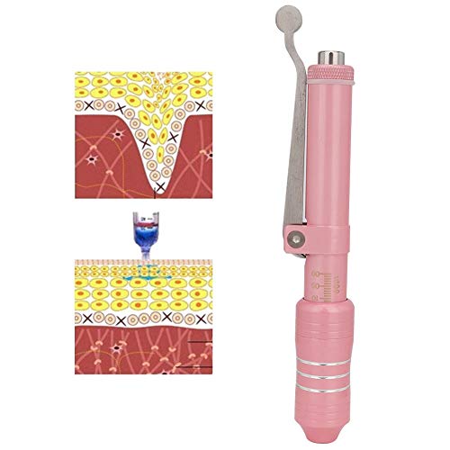 Hyaluron Pen Kit, Hyaluronic Acid Syringe Pen Beauty Atomizer Needle Free Pen...