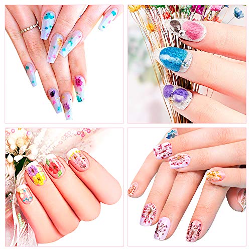 108PCS Dried Flowers for Nail Art - 33 Color Lovely Natural Flower Nail Art, ...