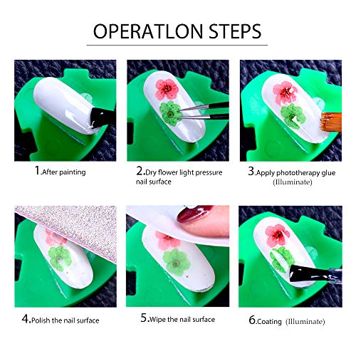 108PCS Dried Flowers for Nail Art - 33 Color Lovely Natural Flower Nail Art, ...