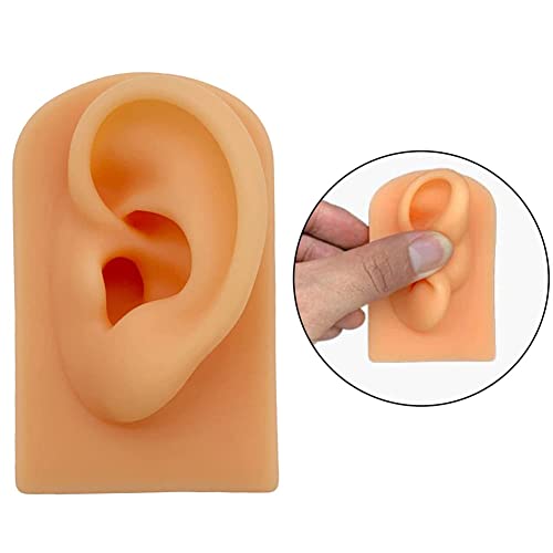 YZDKJDZ Life Size Human Ear Model, Simulation Soft Silicone Left Ear Model, A...