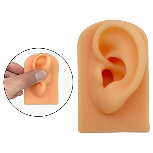 YZDKJDZ Life Size Human Ear Model, Simulation Soft Silicone Left Ear Model, A...