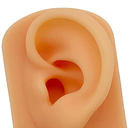 YZDKJDZ Life Size Human Ear Model, Simulation Soft Silicone Left Ear Model, A...