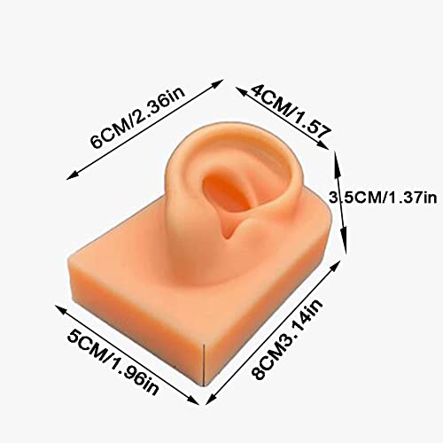 YZDKJDZ Life Size Human Ear Model, Simulation Soft Silicone Left Ear Model, A...