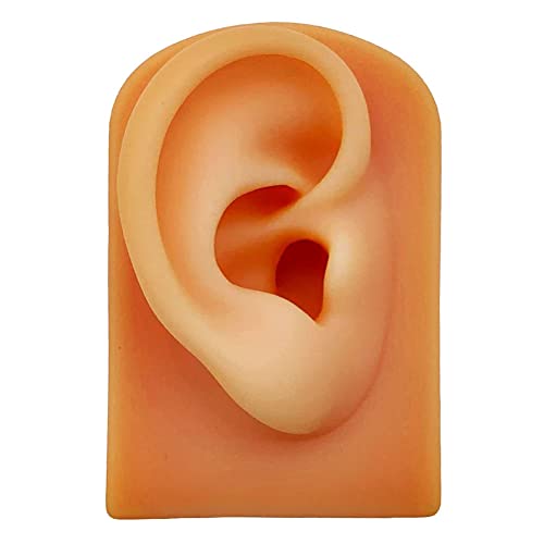 YZDKJDZ Life Size Human Ear Model, Simulation Soft Silicone Left Ear Model, A...