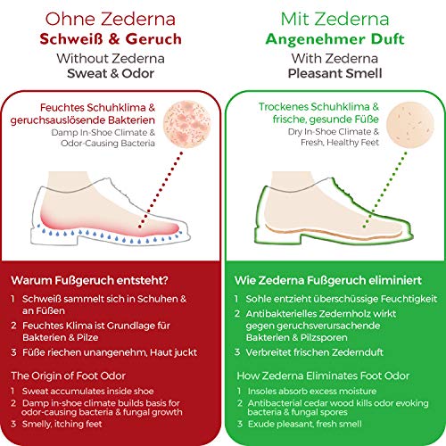 Zederna Cedar Wood Shoe Insoles for Men & Women, 3 Pairs of Foot Odor Elimina...