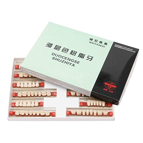 3 Set Of 84 Full Mouth Denture Dental Acrylic Resin Teeth for Halloween Horro...