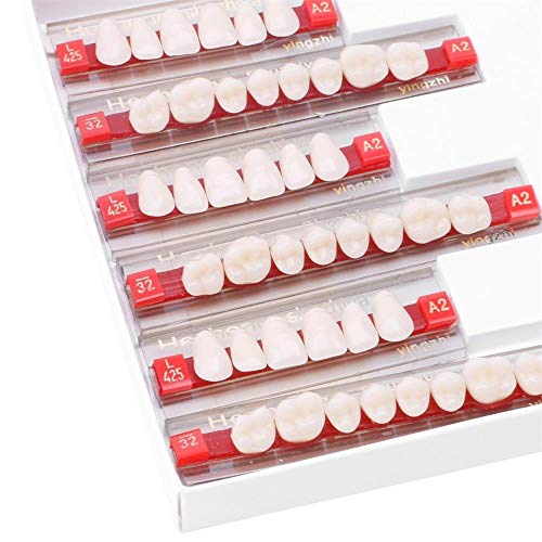 3 Set Of 84 Full Mouth Denture Dental Acrylic Resin Teeth for Halloween Horro...