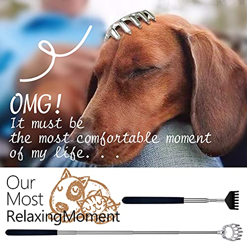 2 Pack Portable Extendable Back Scratcher for Men - Metal Telescoping Back Sc...