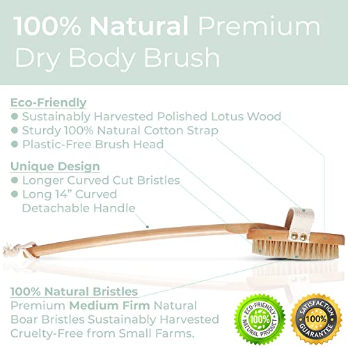 Zen Me Premium Dry Brushing Body Brush for Glowing Tighter Skin, Plastic-Free...