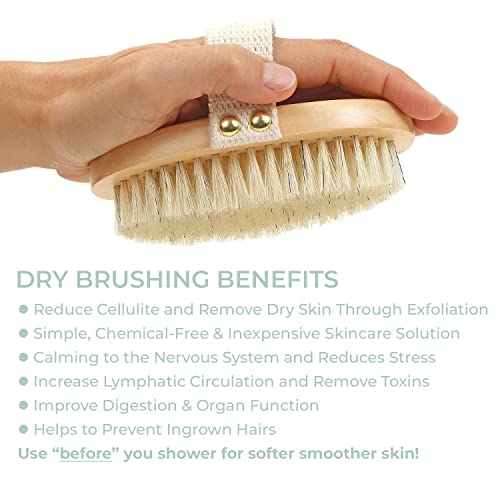 Zen Me Premium Dry Brushing Body Brush for Glowing Tighter Skin, Plastic-Free...