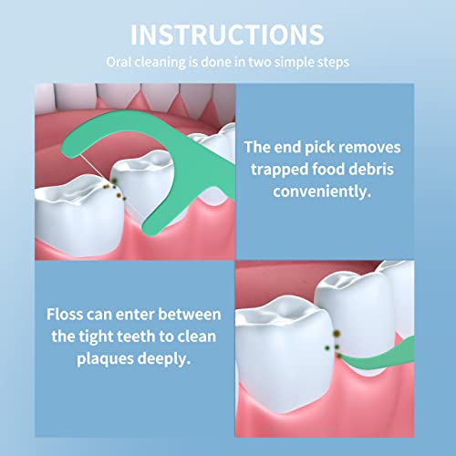 Mint Dental Floss Picks,Tooth Picks Flossers 400 Count with a Portable Travel...