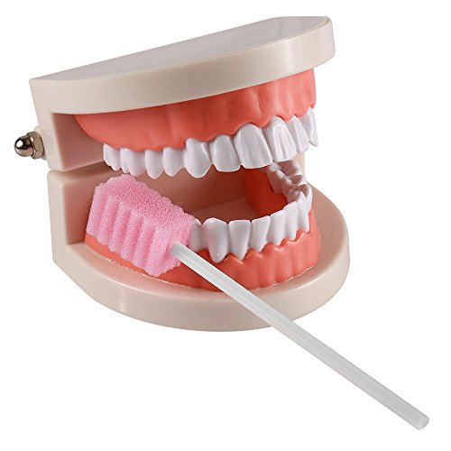 (50 Pack) Disposable Oral Swabs, Sterile Dental Sponge Swabsticks Unflavored ...