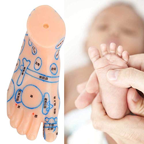 ZJchao Acupuncture Foot Model, 13cm Professional Feet Acupoint Massage Zone T...