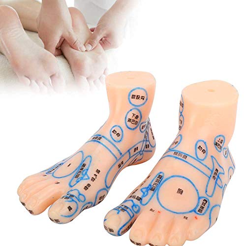 ZJchao Acupuncture Foot Model, 13cm Professional Feet Acupoint Massage Zone T...