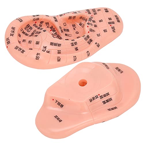 ZJchao Ear Acupoint Model, Ear Zone Model Human Ear Acupuncture Point Massage...