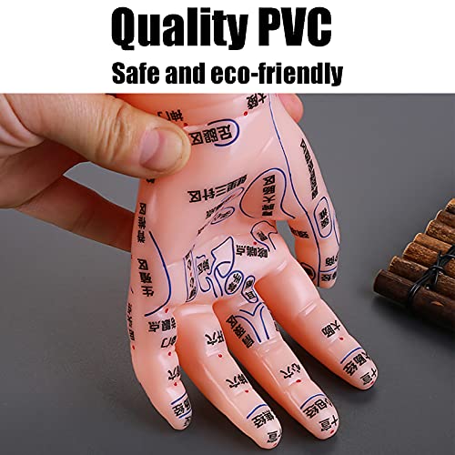 ZJchao Hand Acupuncture Model, Hand Acupuncture Point Model Left Hand Acupunc...